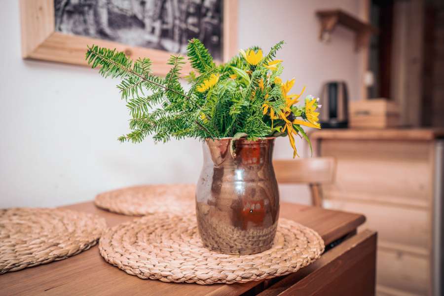 Pokoje i apartamenty Zakopane