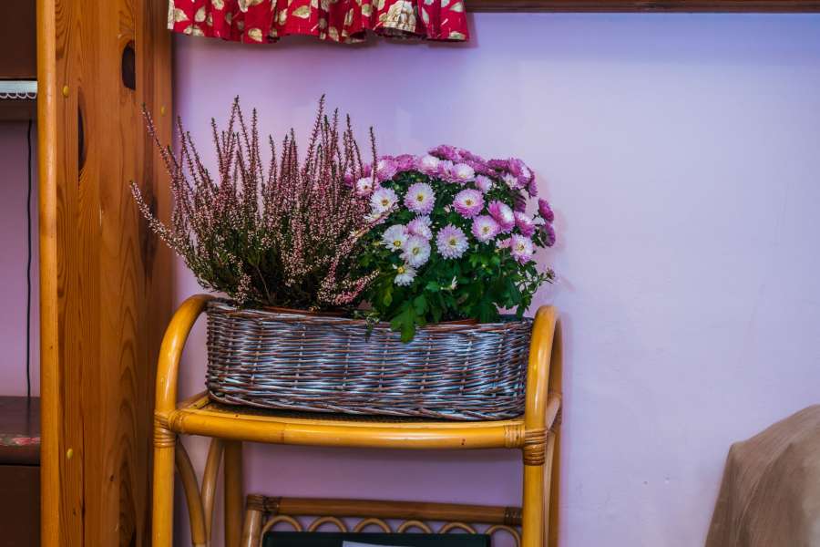 Pokoje i apartamenty Zakopane